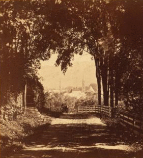 11873