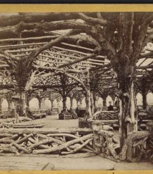 The Rustic Arbor. [1860?-1875?]