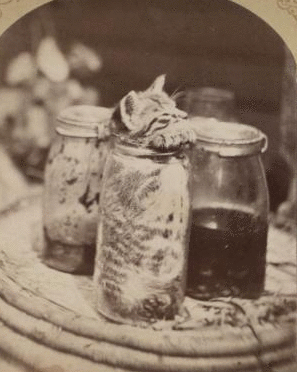 "Canned meats." [1860?-1880?]