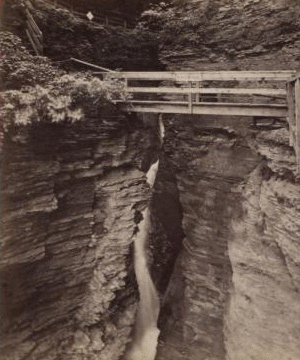 Entrance cascade, Watkins Glen, N.Y. [1865?-1905?]