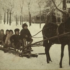 Old Dobbin and the Bobsled. (View of children on a sleigh ride.) 1865?-1885?