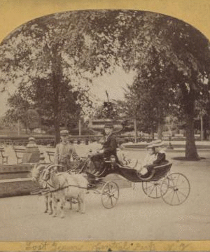 Goat team, Central Park, New York. [1860?-1905?]