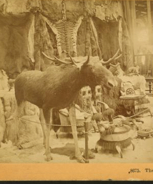 The great moose, Russian Department, Shoe and Leather building, World's Columbian Exposition. 1893