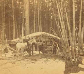 In the pineries of Minnesota. 1869?-1915?