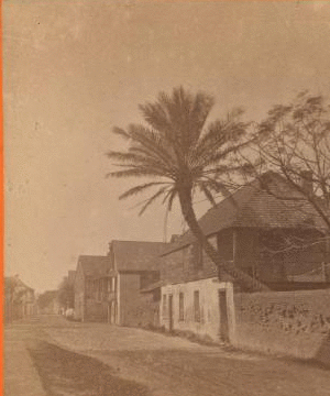 [St. Francis St., Oldest house. St. Augustine, Florida.] 1868?-1895?