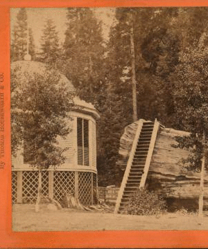 House over the Stump of the Original Big tree, diameter 32 feet, Mammoth Grove, Calaveras County. ca. 1864?-1874? 1864?-1874?