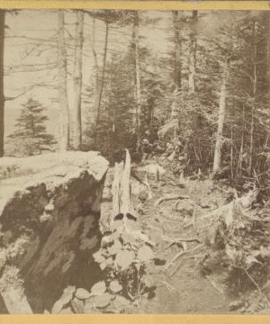 Path to the Overlook. [ca. 1875] [1859?-1890?]