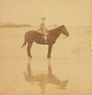 [Girl on horseback in the beach.] 1860?-1869?