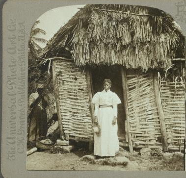 The village belle, Jamaica. 1899