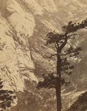 CaÒon above Mirror Lake, from South Dome, Cathedral Peak in distance. ca. 1870