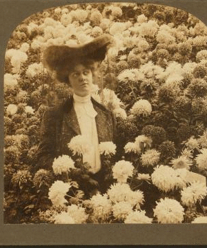 Surrounded by the flower gems of Autumn. Horticultural Hall,  Fairmount Park, Philadelphia. c1903 1860?-1910?