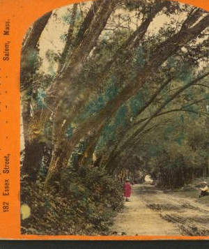 Willow road, Lanesville. 1858?-1890?