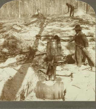"Sweating out" tar from Pine Wood in the turf covered Tar Kiln, North Carolina. 1908