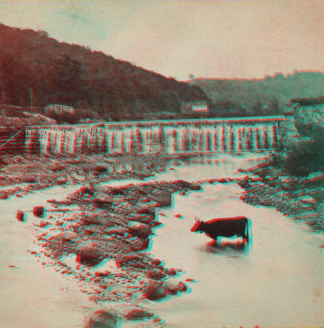 The Dam at Ramapo. [1865?-1875?]