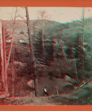 View on Starucca Creek, from under the Bridge. [1860?-1875?]