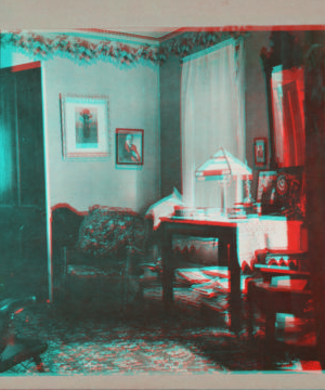 [Living room of a home.] 1915-1919 December 1915