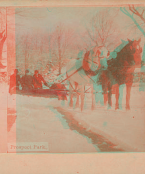 Prospect Park. [1870?-1890?]