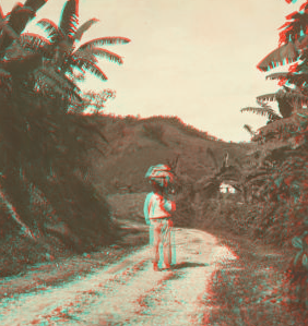 The Mail, like all burdens, is carried on the head in Jamaica. -- A Jamaican mail carrier en route from a country station to Port Antonio. 1904