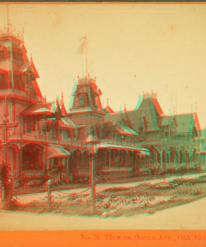 View on Ocean Ave., Oak Bluffs. 1865?-1880?