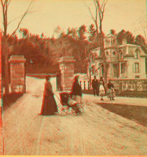 View in Pine Grove Cemetery. 1870?-1915?