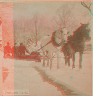 Prospect Park. [1870?-1890?]