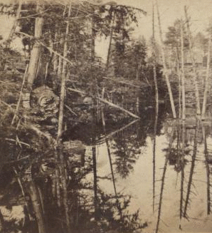 Reflections near Cascade Bridge. [1860?-1875?]