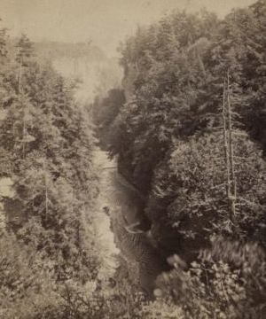 View from the Hog's Back, Upper Taughannock Ravine, top of main fall in the foreground, Cayuga Lake in the distance. [1865?1880?]