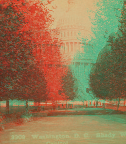 Shady walk to the Capitol, Washington, D.C. 1859?-1905? [ca. 1875-ca.1895]