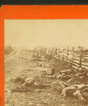 On the Antietam battlefield. [View of dead soldiers beside the fence on the west side of Hagerstown Road.] 1880?-1891? 1861-1865 one view copyright 1904