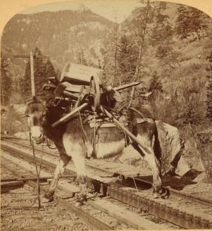 "I helped to build Pike's Peak railroad myself," Colorado, U.S.A. 1865?-1905? c1894