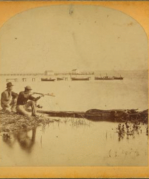 Shooting the alligators. 1870?-1905? [1873-1880]