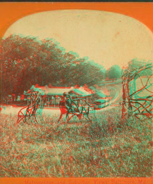 [View of rustic benches. Druid Hill Park.] 1859?-1885?