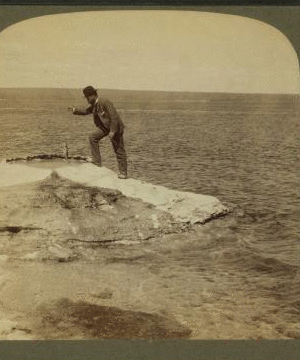 Fisherman at lake turning to cook in a boiling spring the trout just caught, Yellowstone Park, U.S.A. 1901, 1903, 1904