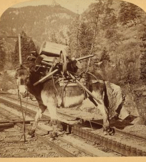 "I helped to build Pike's Peak railroad myself," Colorado, U.S.A. 1865?-1905? c1894