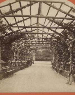 Art and landscape scenery, Central Park, N.Y. Rustic arbor. 1860?-1905?