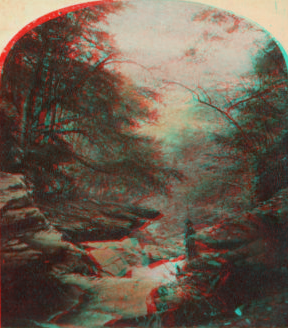 View in the Kauterskill Glove, Catskill Mountains. [1858?-1860?]