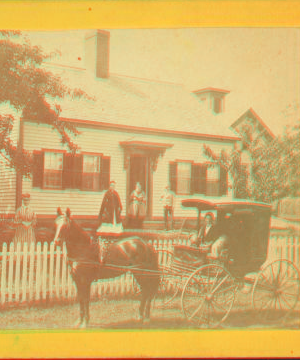 [Woman in buggy in front of Lewis W. Flanders residence.] 1859?-1885?