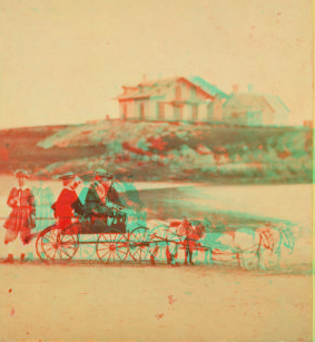 [Children in goat cart on beach.] 1860?-1869?