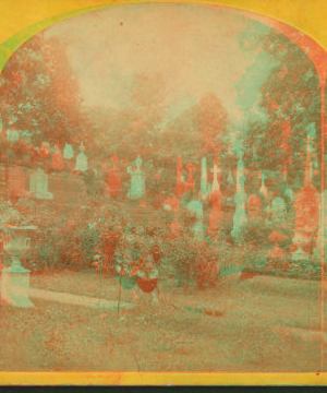 Oak Hill Cemetery, Georgetown. [ca. 1875] 1865?-1890?