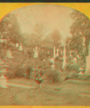 Oak Hill Cemetery, Georgetown. [ca. 1875] 1865?-1890?