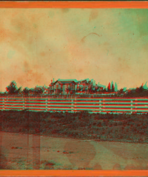 Houses on [Eighth] Avenue facing North Jackson Street in the foreground. 1869?-1880?