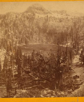 Summit of the western ridge of the Sierras, on the Big Tree and Carson Valley Road looking south. 1864?-1905? ca. 1880