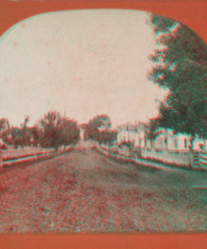 [View of a street.] [1866?-1900?]