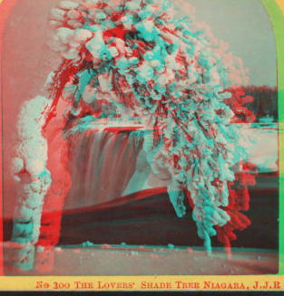 The Lover's Shade Tree, Niagara. [1859?-1870?]