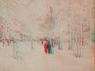 A lover's walk, Niagara Falls, New York, U.S.A. [View of couple walking in winter scene.] 1860?-1905