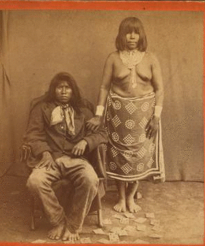 [Portrait of Indian man and woman, with playing cards.] 1865?-1885?