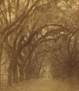 Avenue in Bonaventure. 1866?-1905? 1856-1908