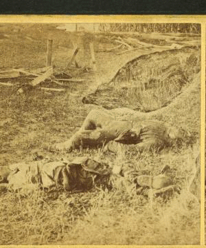 View on battle field of Antietam near Sherrick's house, where the 79th New York Volunteers fought after they crossed the creek. Group of dead Confederates. 1862-1865