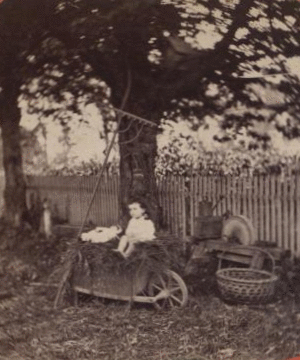 [A child sitting in a wheelbarrow with her doll, ax sharpener, rake, basket and watering can nearby.] [ca. 1880] 1870?-1890?