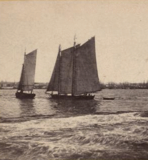 View from foot of Whitehall street, looking towards south Brooklyn. The agitation of water in the foreground is occasioned ny a steamboat just passed. 1859?-1875? [ca. 1860]